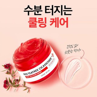 Kem dưỡng Red Tea Tree Cicassoside Some By Mi
