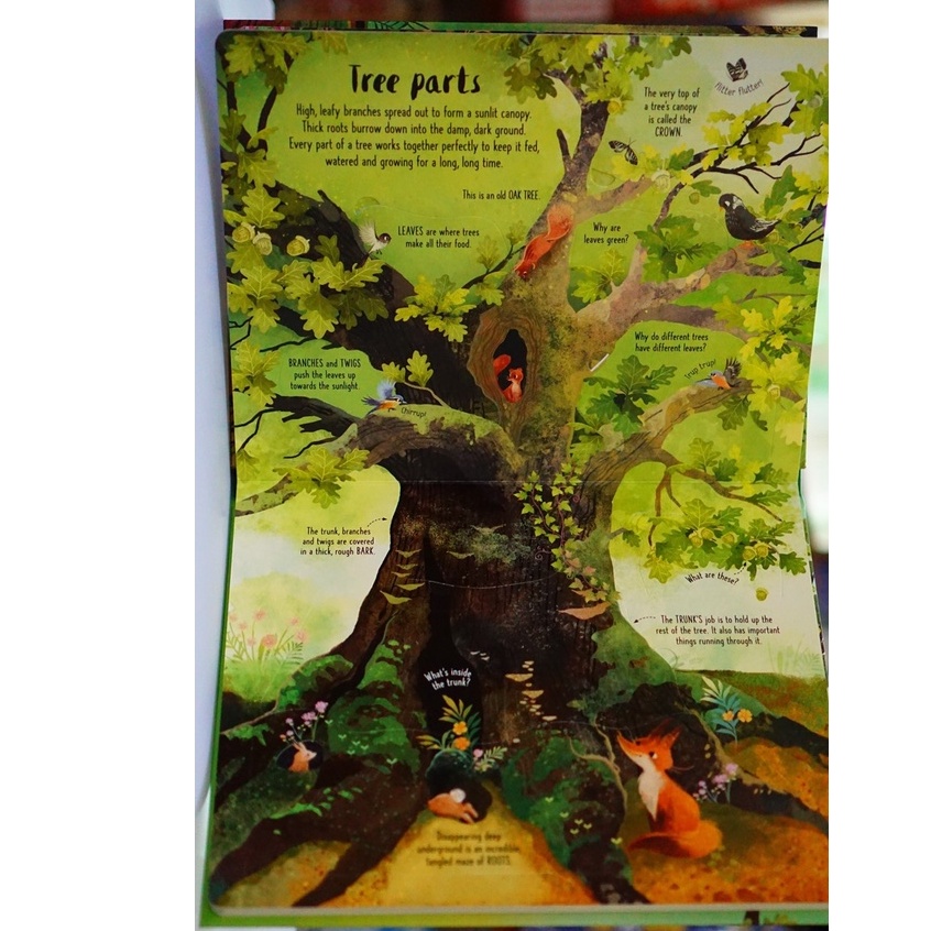 Sách Lật mở Tìm hiểu về Các loài cây Lift-the-flap Trees