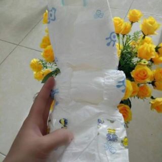 Tã dán pipo M100 miếng
