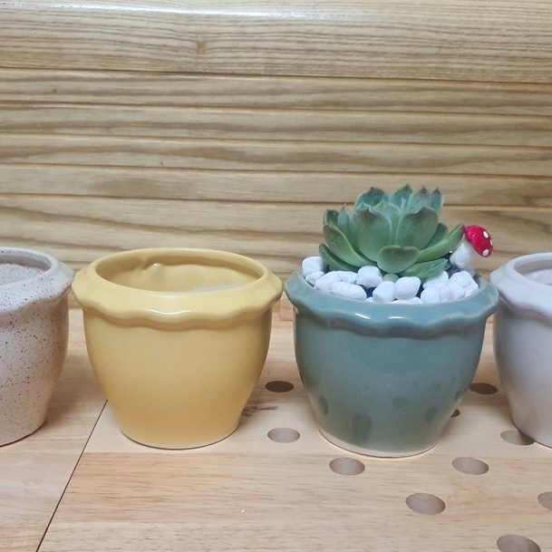 Chậu trồng cây cảnh - Sen Đá - Xương Rồng - Hoa nhỏ - Kiểu vành TRÒN GỢM SÓNG - Chậu Bonai  gốm Sứ Bát Tràng