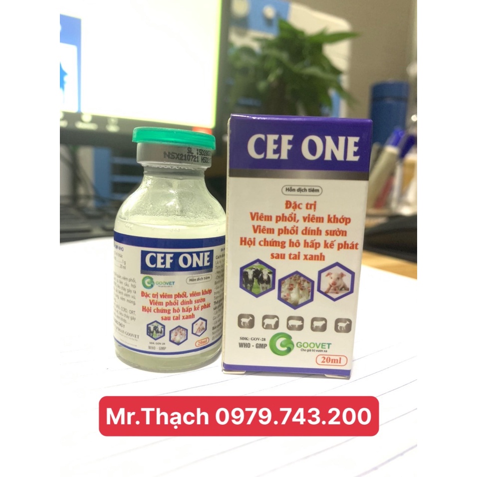 Viêm Phổi, Viêm Tử Cung CEF ONE Goovet Viêm Khớp, Viêm Phổi Dính Sườn, Hội Chứng Hô Hấp Kế Phát Sau Tai Xanh. Ceftiofur