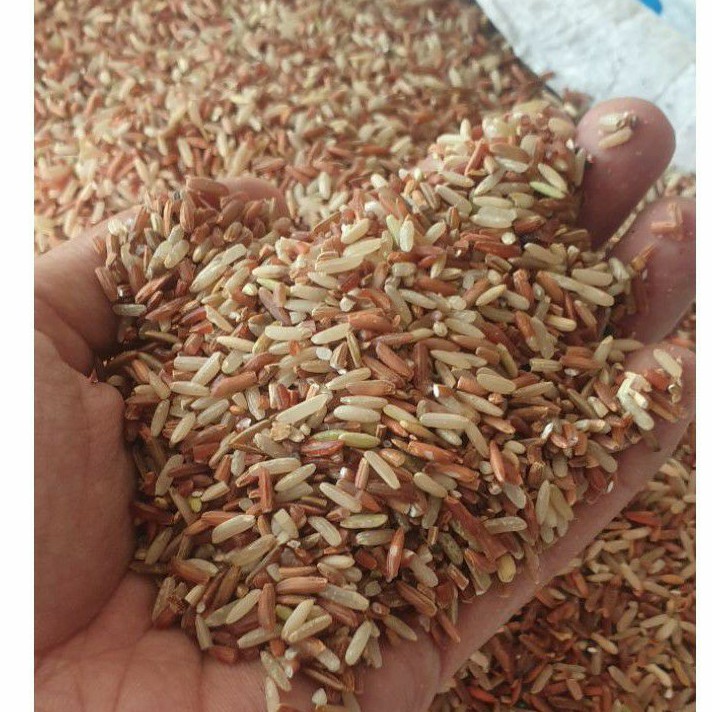 1KG GẠO LỨC CHO GÀ, VỊT, BỌ, HAMSTER