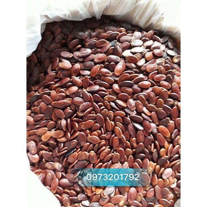 1Kg Hạt Dưa Thiên Hương