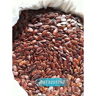 1Kg Hạt Dưa Thiên Hương