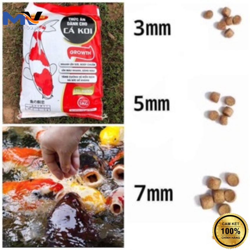 Cám cá koi King Feed 5kg siêu tăng trưởng 42% đạm, không váng dầu, body tròn đẹp