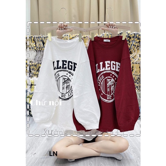 Áo nỉ bo cotton tay llege LN12