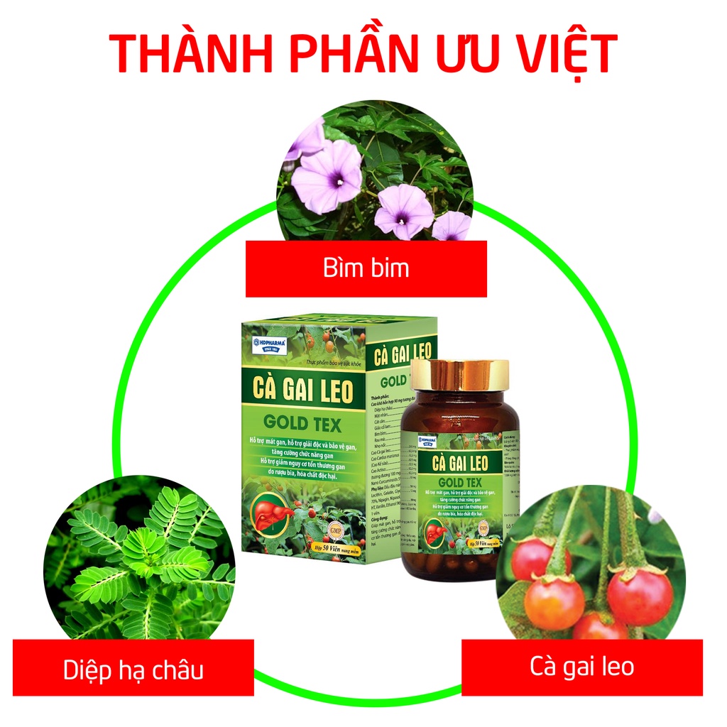 Bổ gan thảo dược Cà Gai Leo Gold Tex mát gan, giải độc gan - Hộp xanh 50 viên