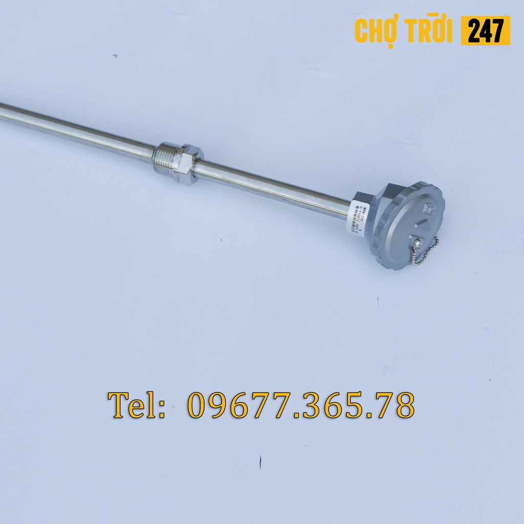 Cảm biến nhiệt độ Pt100  WRN-230 (dạng đầu củ hành)