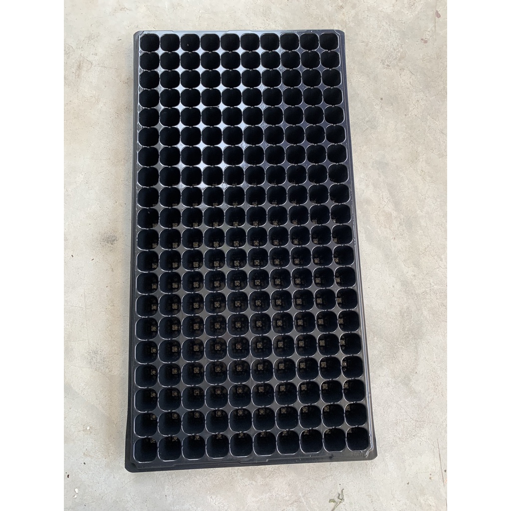 10 KHAY ƯƠM 200 LỖ NÔNG ( BẠT CHỐNG CỎ, LƯỚI CHỐNG NẮNG, DỊCH TRUYỀN CHO CÂY...)