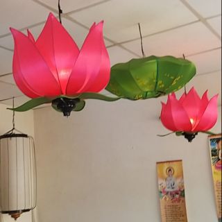 Đèn hoa sen Hội An đk 50cm