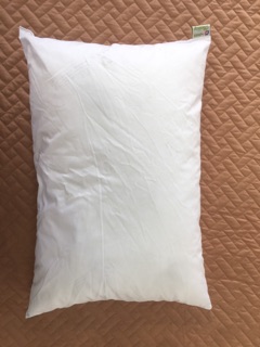 1 Đôi Ruột gối ép Hanvico