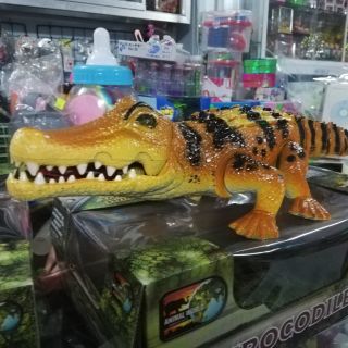 Hộp đồ chơi cá sấu tặng kèm pin ( có video bên dưới) !!!