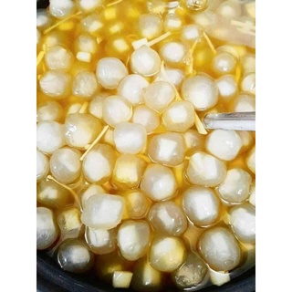 BỘT LỌC NHÂN DỪA [Chỉ ship nhanh TP.HCM]