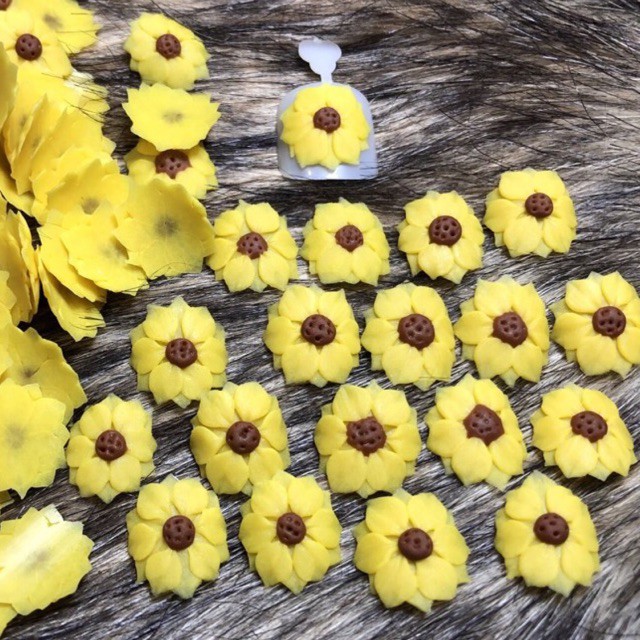 Hoa Móng Chân - Hướng Dương Nhuỵ Bi Nhiều Cánh