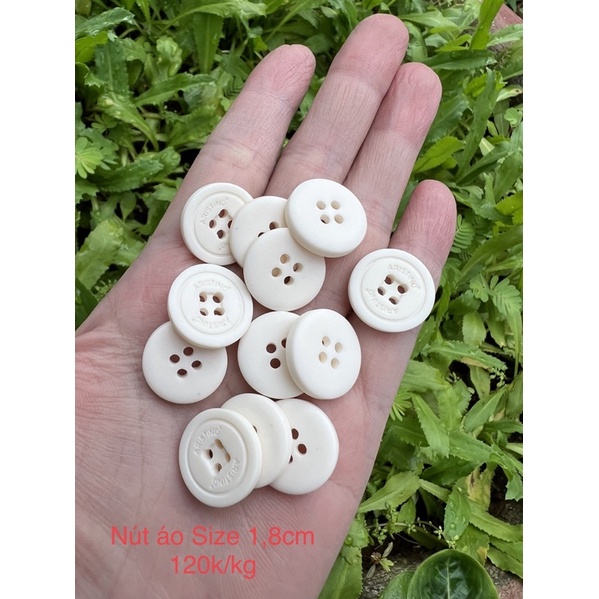 Nút áo nhựa người lớn (120k/kg)