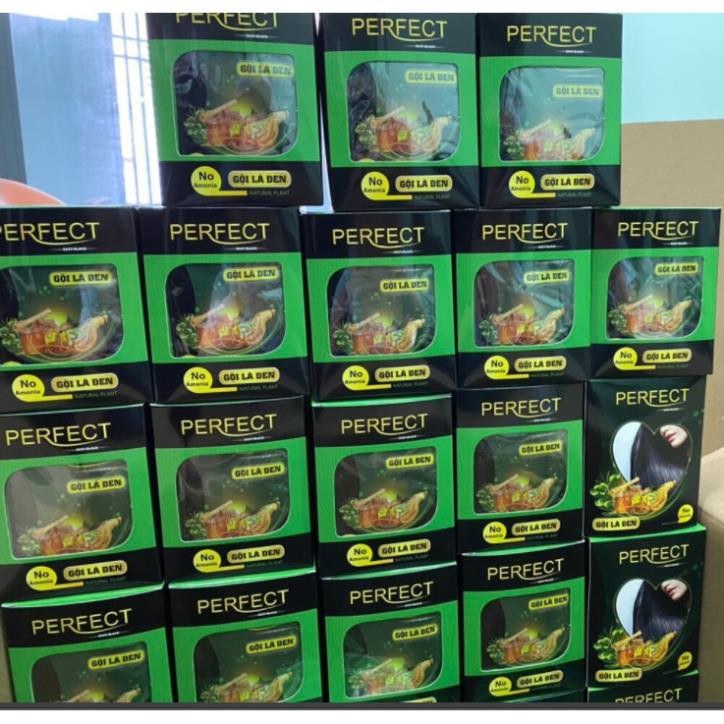 Gội Là Đen /Gội Là Nâu Phủ bạc hoàn hảo | BigBuy360 - bigbuy360.vn