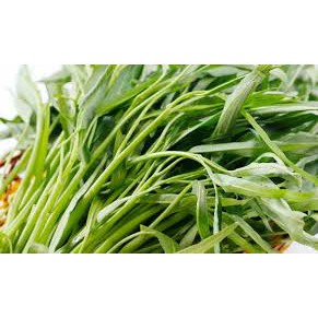 30 gr hạt giống rau muống