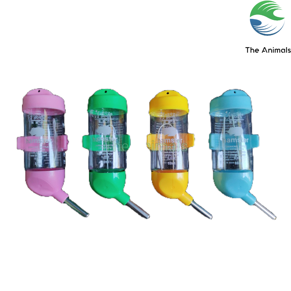 Bình cấp nước cho vẹt Set 4 cái 80ml