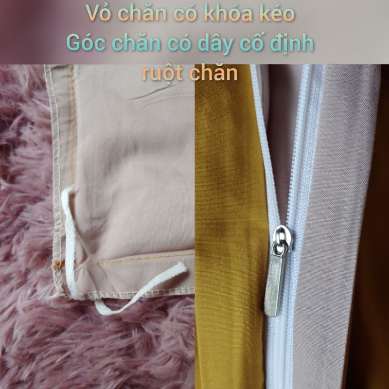 [SALE] Bộ chăn ga cotton Tici mẫu mới cao cấp nhập khẩu Hàn Quốc đủ size đủ màu (không kèm ruột)