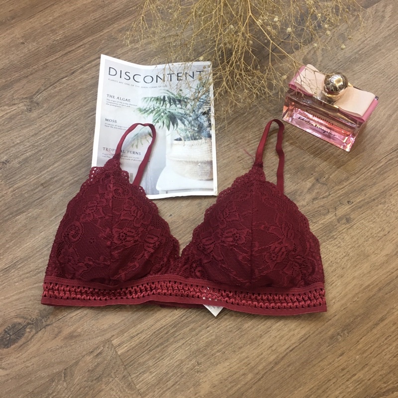 Áo Bra Ren Đệm Mỏng kiểu dáng sexy Mã Mới 7311