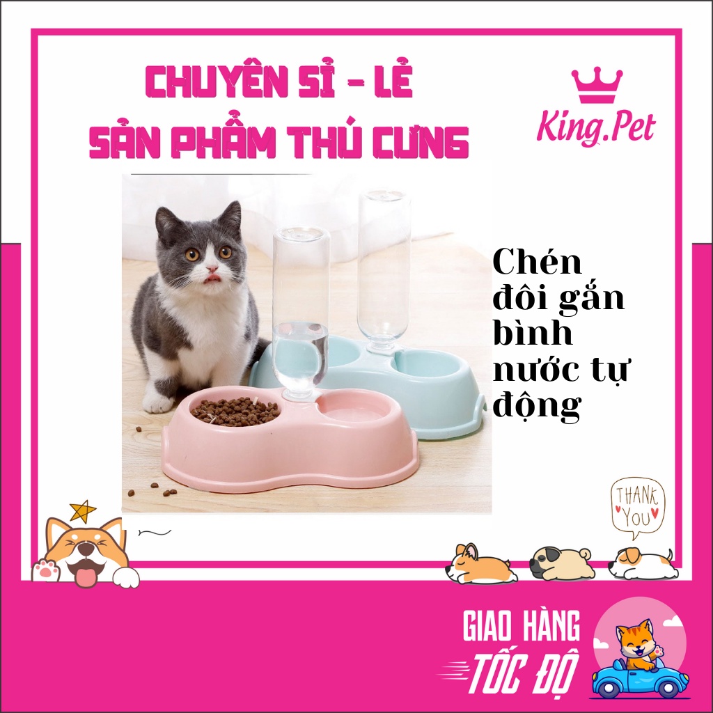 Chén đôi gắn bình nước tự động cho chó mèo