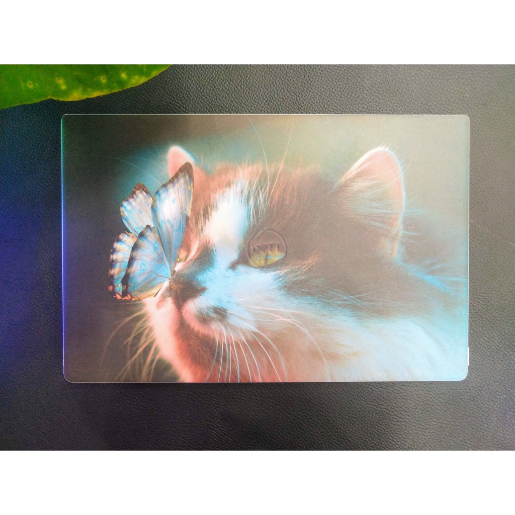 Dán Laptop skin cho Tất cả Dòng máy Dell , Hp, Asus, Lenovo, Acer, MSI Macbook....