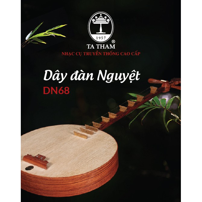 Dây đàn Nguyệt