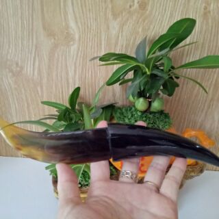Dao sừng dọc giấy