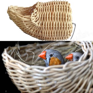 TỔ ĐẺ TRE đan tay CHO CHIM CẢNH (manh manh, bảy màu, sắc nhật, bạc má)