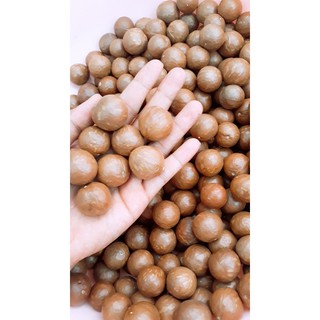 Quả Macca tươi