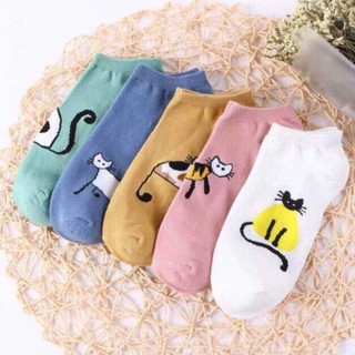 Combo 3 đôi tất mèo vớ mèo hình lớn