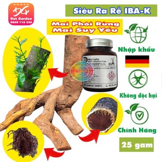Thuốc kích thích ra rễ cực mạnh IBA-K lọ 25gam nhập khẩu Đức - Chuyên dùng cho cây mai suy mai yếu và mai phôi rừng