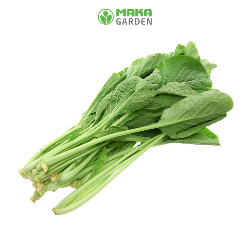 Hạt Giống Cải Ngọt Rado 54  - Gói 20-50Gr - Giòn, Cây To, Năng Suất Cao, Dễ Trồng