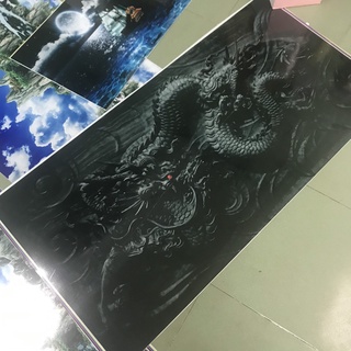 Tranh dán bể cá Rồng 3D - 120x60cm (Nhiều mẫu)