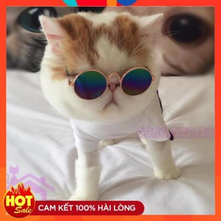Kính mắt thời trang cho chó mèo - Phụ kiện thú cưng Hà Nội