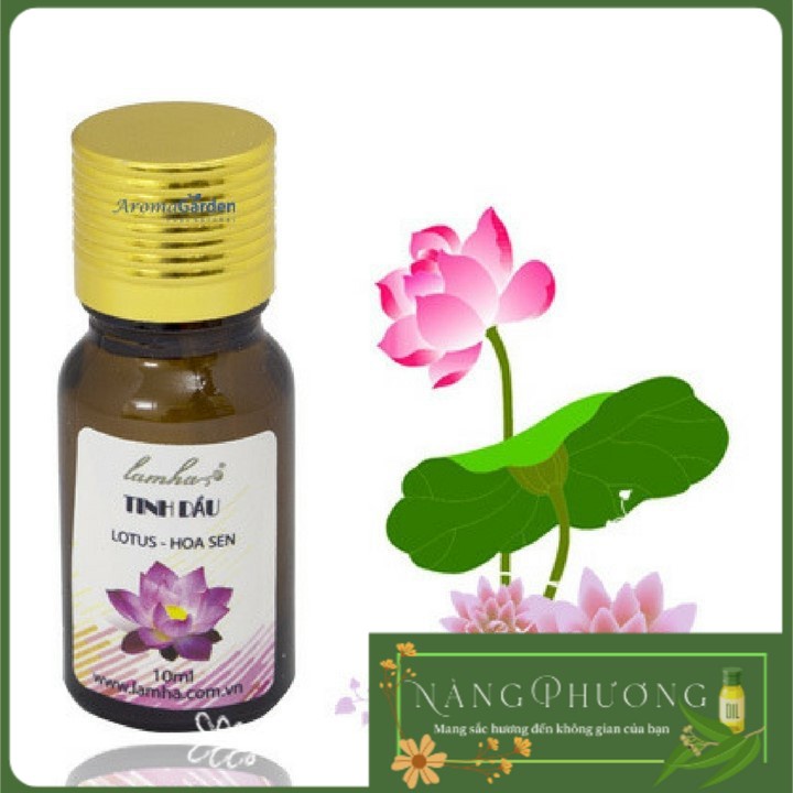 Tinh Dầu Hoa Sen Lam Hà