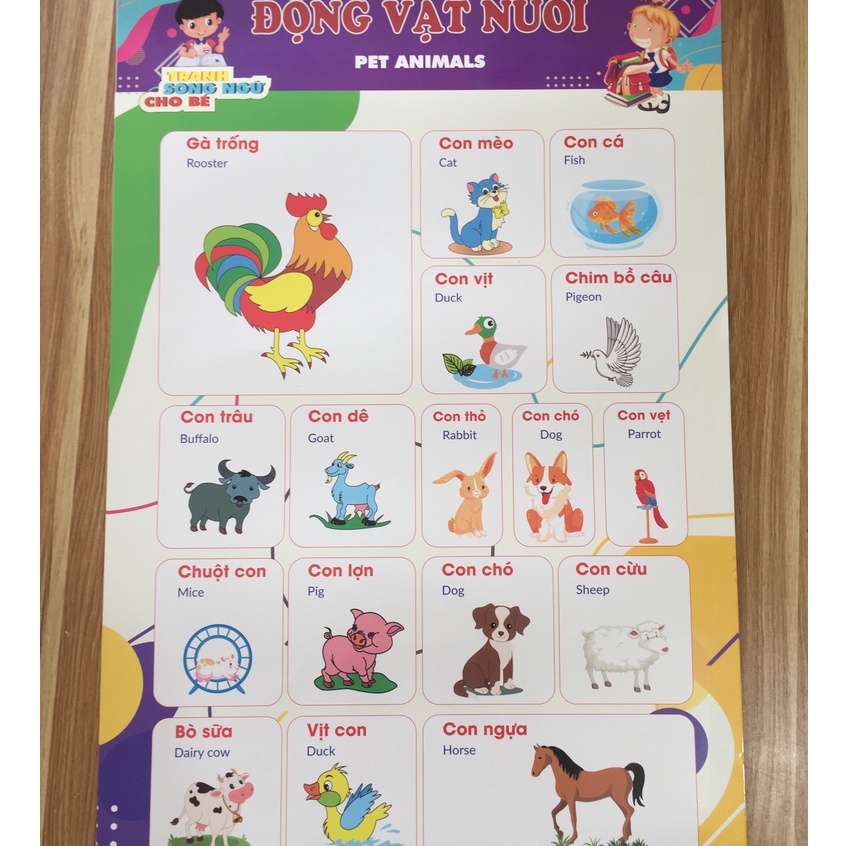 Bộ tranh bảng chữ cái treo tường 12 chủ đề cho bé học song ngữ