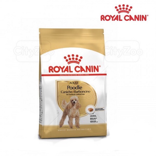 [Mã PET50K giảm Giảm 10% - Tối đa 50K đơn từ 250K] Thức Ăn ROYAL CANIN POODLE ADULT 500Gr