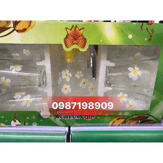 Bộ bình và 6 cốc thuỷ tinh