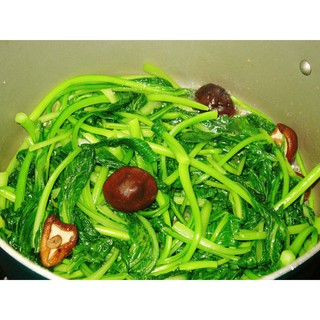 HẠT GIỐNG CẢI NGỌT(CHẤT LƯỢNG-UY TÍN)