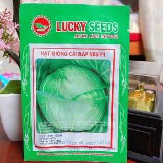 hạt giống cải bắp lucky 1g