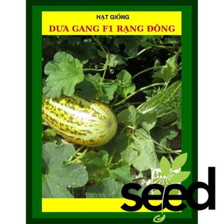 Hạt Giống Dưa Gang F1 Rạng Đông 1 Gram