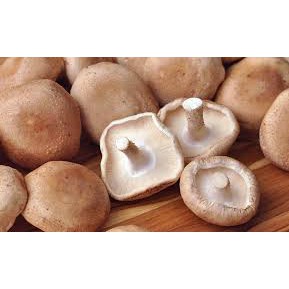 Hạt Nêm Nấm Hương Shiitake Cho Bé Ăn Dặm 48g