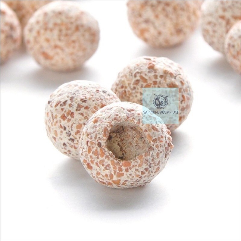 Sứ Bi Thạch Anh - Sứ Bi Đài Loan