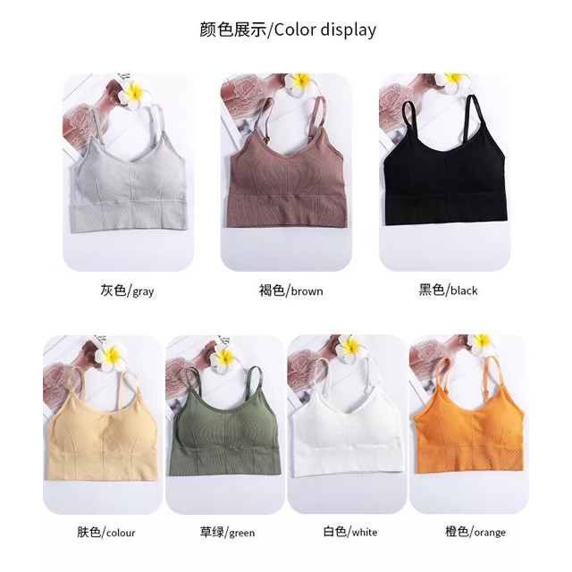 Áo bra gân màu khoét lưng sâu sang chảnh Tập gym, yoga dáng croptop M01 nội y giá tốt