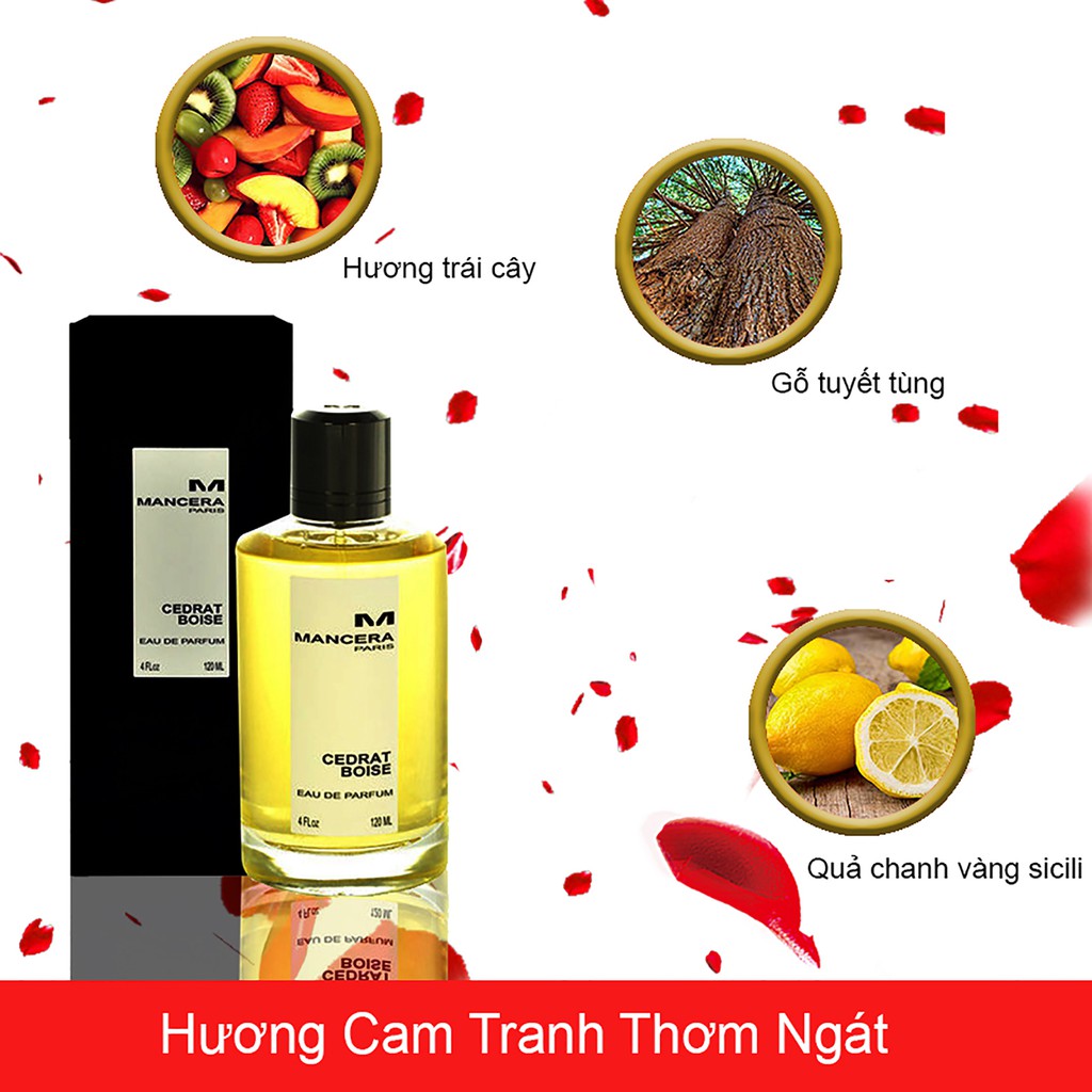 Nước Hoa Nam Mancera Cedrat Boise Chai Full