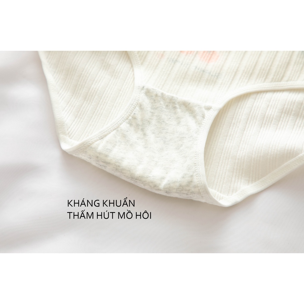 Quần lót nữ cute chất cotton cạp dày dặn 320