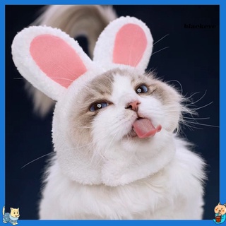 Mũ tai thỏ đáng yêu cho mèo cưng