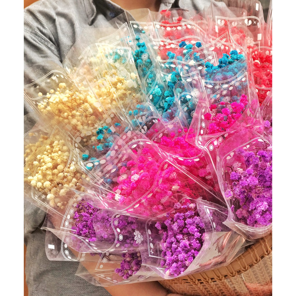 🌸FREE SHIP🌸Hoa Baby Khô Decor, Chụp ảnh siêu xinh | BigBuy360 - bigbuy360.vn