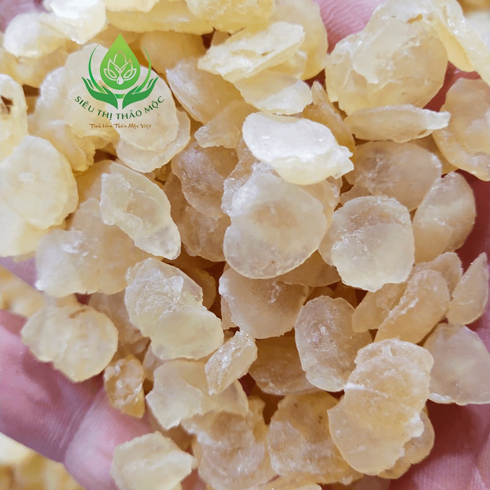 ✅[CHÍNH HÃNG] Hạt Bồ Mễ Tuyết Liên Tử Khô 1Kg Nguyên Hạt Dẻo Và Đẹp Loại 1 Bổ Dưỡng Tốt Cho Sức Khỏe